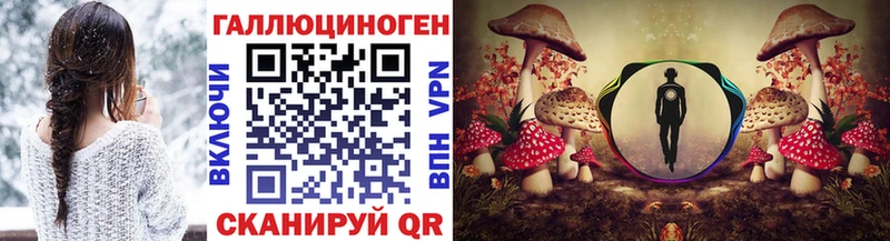 Псилоцибиновые грибы мицелий Кувшиново